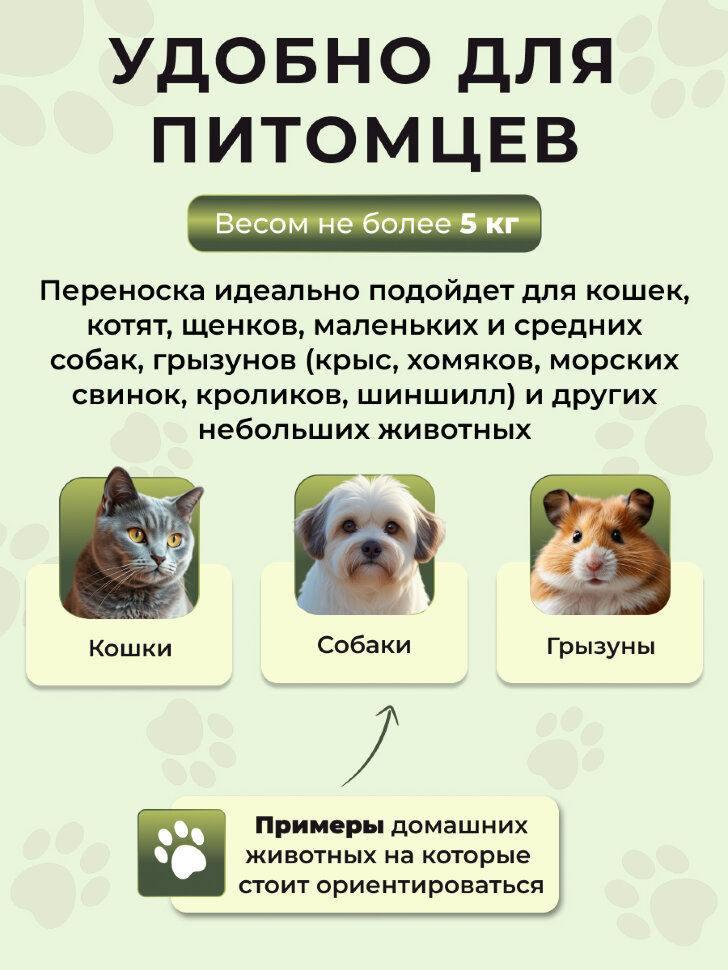 Переноска пластиковая Petmode 55х40х35 см с боковой пластиковой дверцей