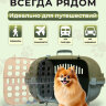 Переноска пластиковая Petmode 55х40х35 см с боковой пластиковой дверцей