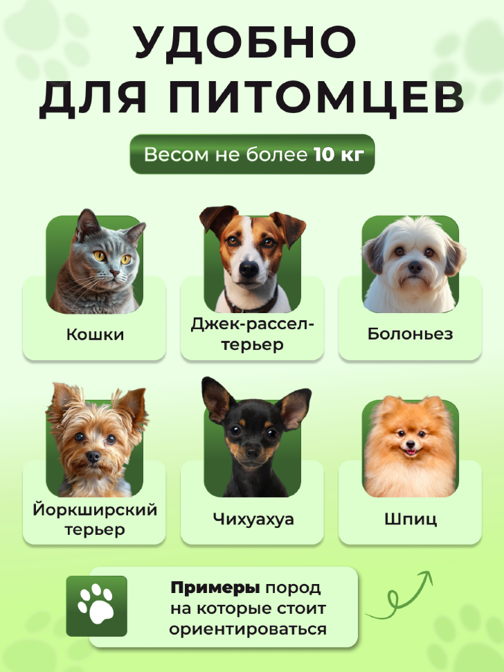 Переноска пластиковая Petmode Macaron 61х40х41 см, зеленая