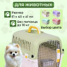 Переноска пластиковая Petmode Macaron 61х40х41 см, зеленая