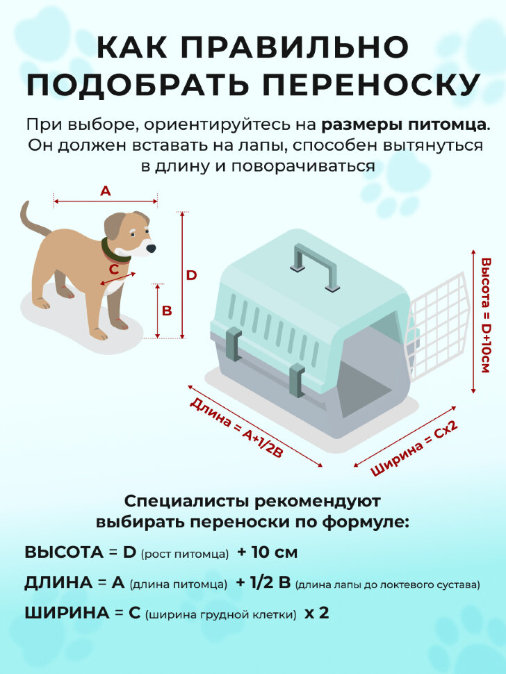 Переноска пластиковая Petmode Macaron 61х40х41 см, синяя