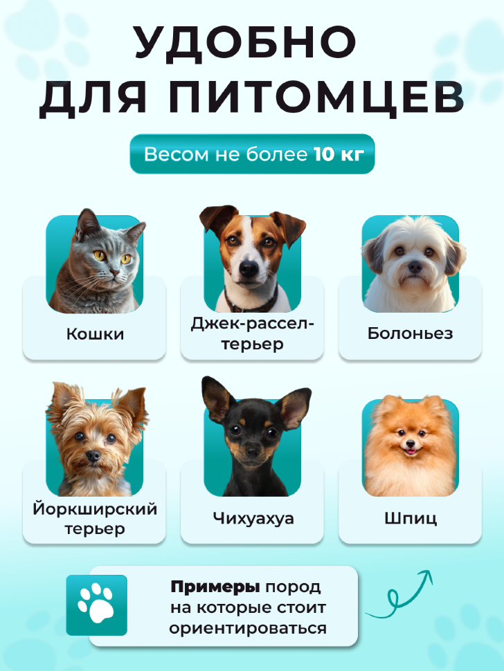 Переноска пластиковая Petmode Macaron 61х40х41 см, синяя