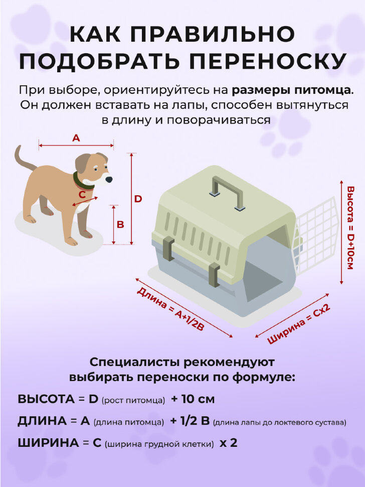 Переноска пластиковая Petmode Macaron 61х40х41 см, фиолетовая