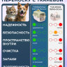 Переноска пластиковая Petmode Macaron 61х40х41 см, фиолетовая