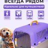 Переноска пластиковая Petmode Macaron 61х40х41 см, фиолетовая
