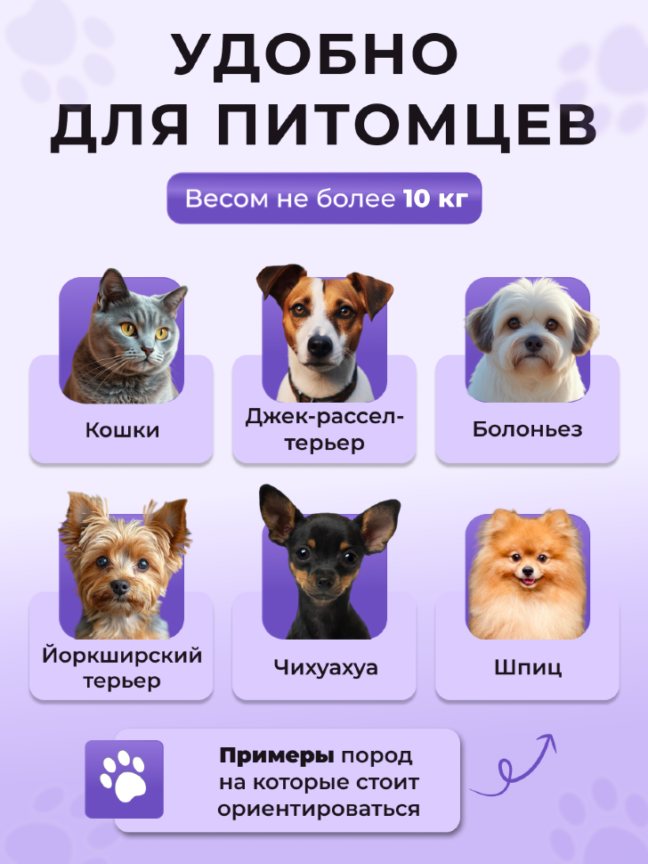 Переноска пластиковая Petmode Macaron 61х40х41 см, фиолетовая