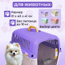 Переноска пластиковая Petmode Macaron 61х40х41 см, фиолетовая