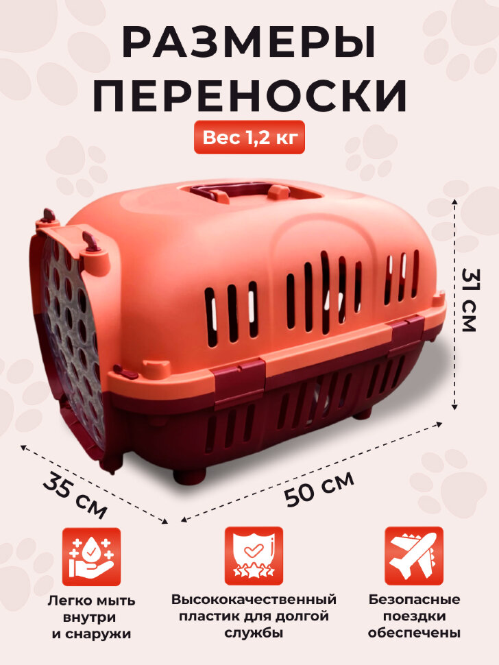Переноска пластиковая Petmode Safari 50х35х31 см с пластиковой дверцей, оранжевая