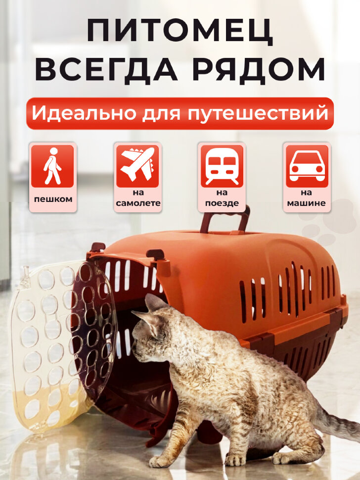 Переноска пластиковая Petmode Safari 50х35х31 см с пластиковой дверцей, оранжевая