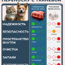 Переноска пластиковая Petmode Safari 50х35х31 см с пластиковой дверцей, оранжевая